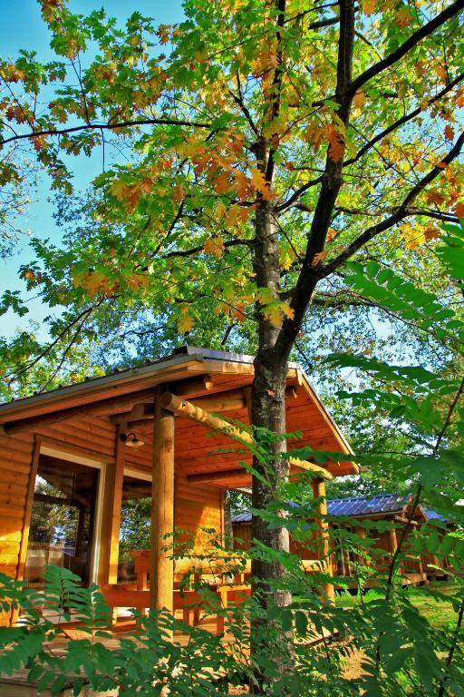 Albirondack Camping Lodge & Spa Pokój zdjęcie